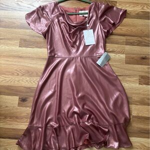 Gal Meets Glam Shimmering Rose Dress